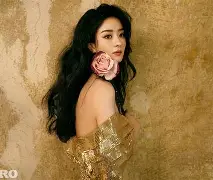 阿贾克斯内部会议纪要流出——清晨复出首秀，社区盾使命明确，控场能力受关注的简单介绍